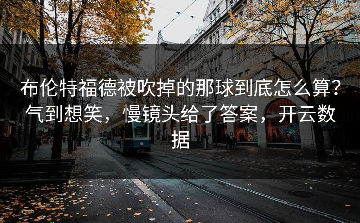 布伦特福德被吹掉的那球到底怎么算?气到想笑,慢镜头给了答案,开云数据