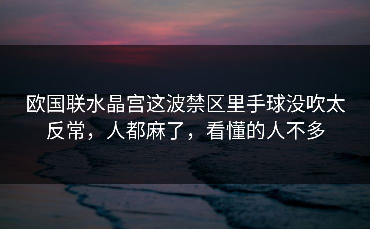 欧国联水晶宫这波禁区里手球没吹太反常，人都麻了，看懂的人不多