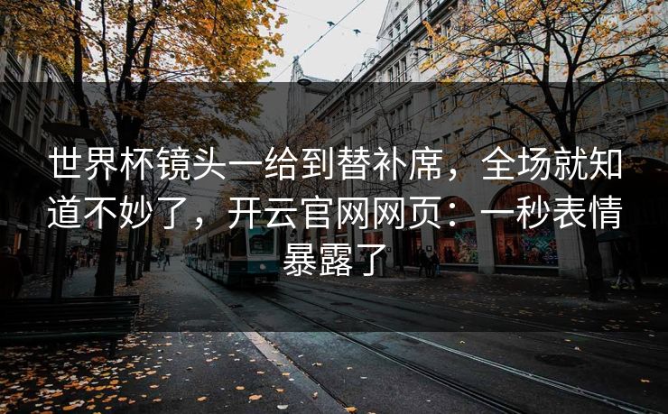 世界杯镜头一给到替补席,全场就知道不妙了,开云官网网页:一秒表情暴露了