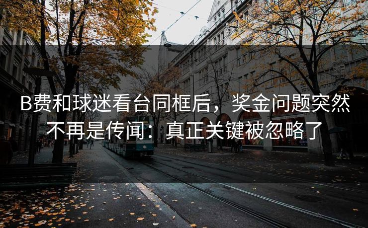 B费和球迷看台同框后，奖金问题突然不再是传闻：真正关键被忽略了